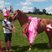 30. Race for Life - Brentwood