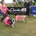 24. Race For Life Gillingham 