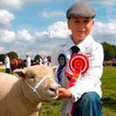 Royal Norfolk Show