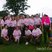 23. Race for Life - Cofton Park 17/7/11 23