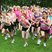 1. Race for Life in St Albans 