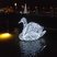 19. Harlow Christmas Lights