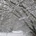 67. Winter Wonderland