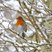43. Winter Wonderland 