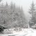 27. Winter wonderland