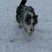 5. Cambs Snow Pics 3
