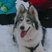 19. Snow Pics from Facebook 4