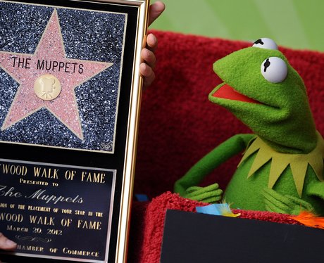Hollywood Fame Walk on The Muppets  Hollywood Walk Of Fame Star   Pictures  Heart