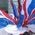35. Jubilee Celebrations Horsham 23