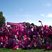 25. Race for Life Bristol Saturday 5K 116