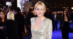 J.K Rowling stuns in a glittering gown at the Fant