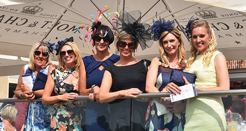 york races article