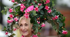 Weird And Wonderful Pictures Of The Week